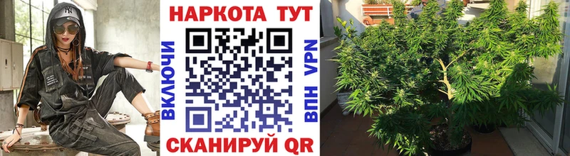 Что такое Белая Холуница COCAIN  Меф мяу мяу  СК  Псилоцибиновые грибы  Гашиш 