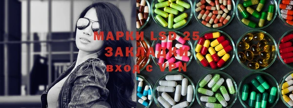 твердый Мурманск